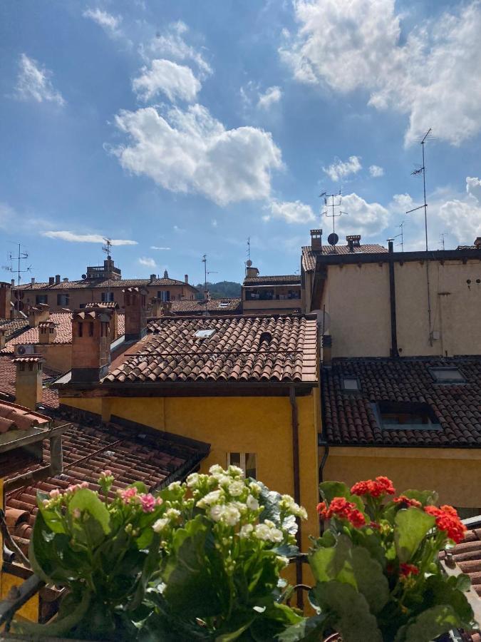 La Perla Del Centro Apartamento